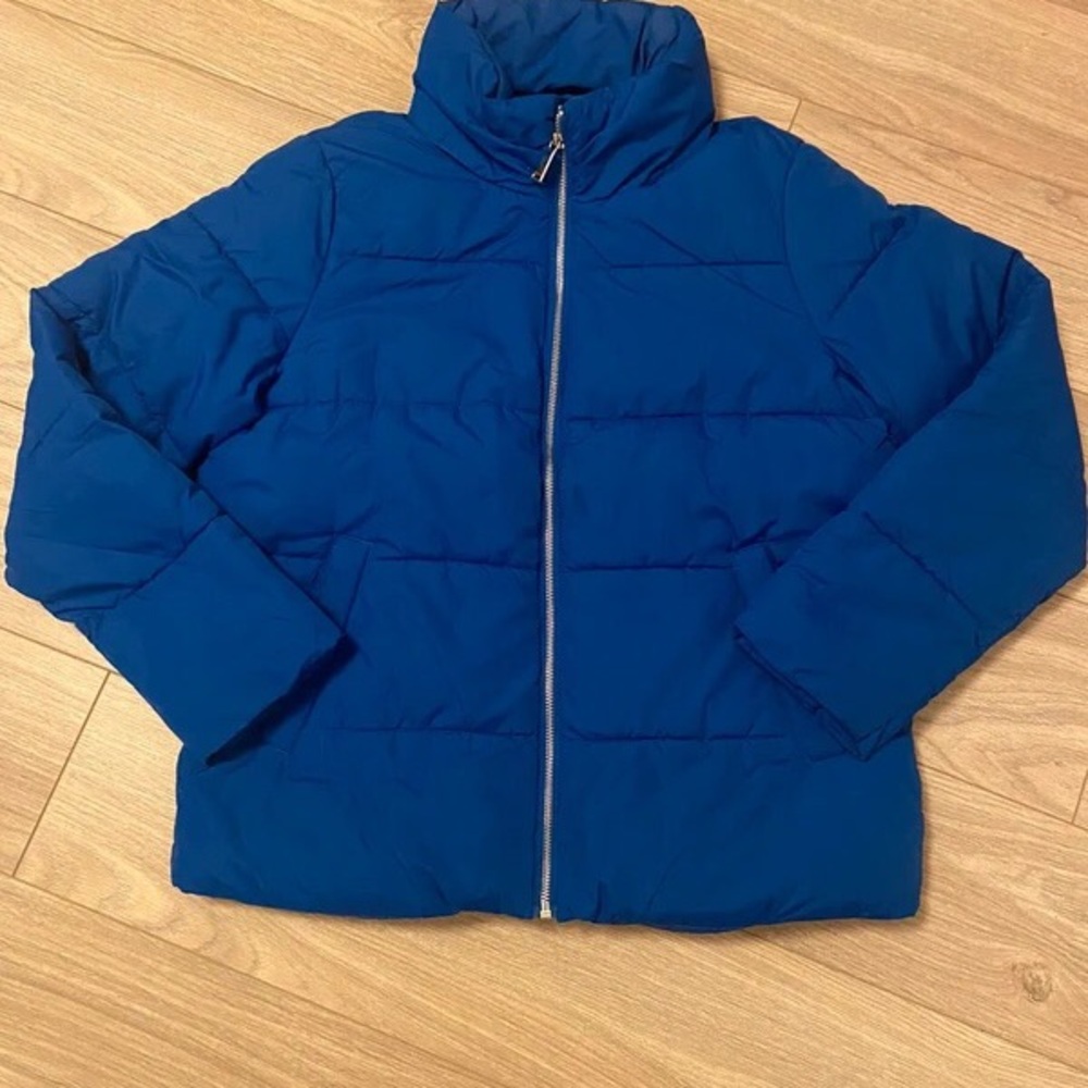 Papaya Outerwear Collection in Vibrant Blue